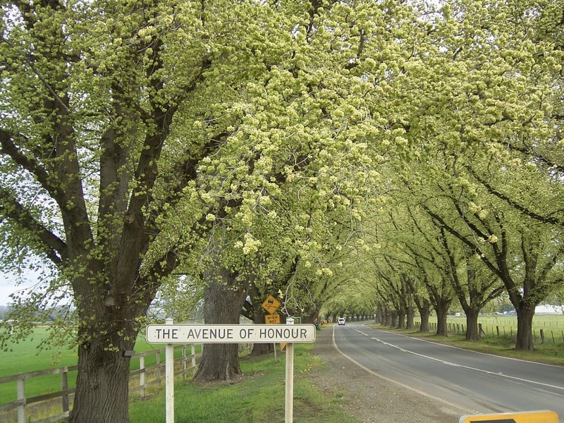 6 Shelly Court, Bacchus Marsh VIC 3340