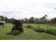 10 Wellers Road, Bargo NSW 2574