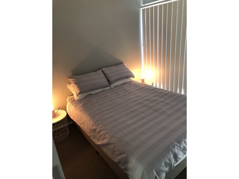 144 Balmoral Road, Montville QLD 4560