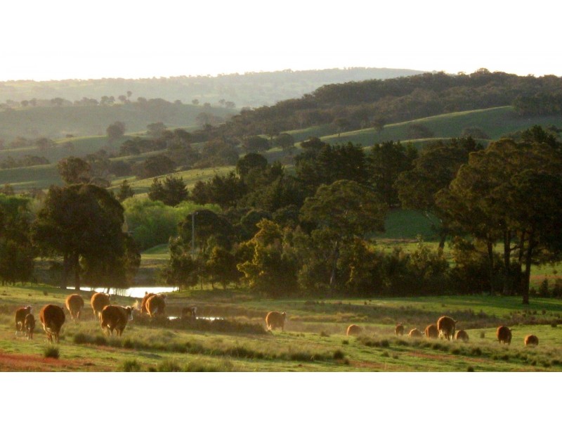 1567 Redground Rd, Crookwell NSW 2583