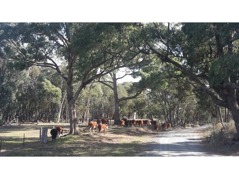 1567 Redground Rd, Crookwell NSW 2583