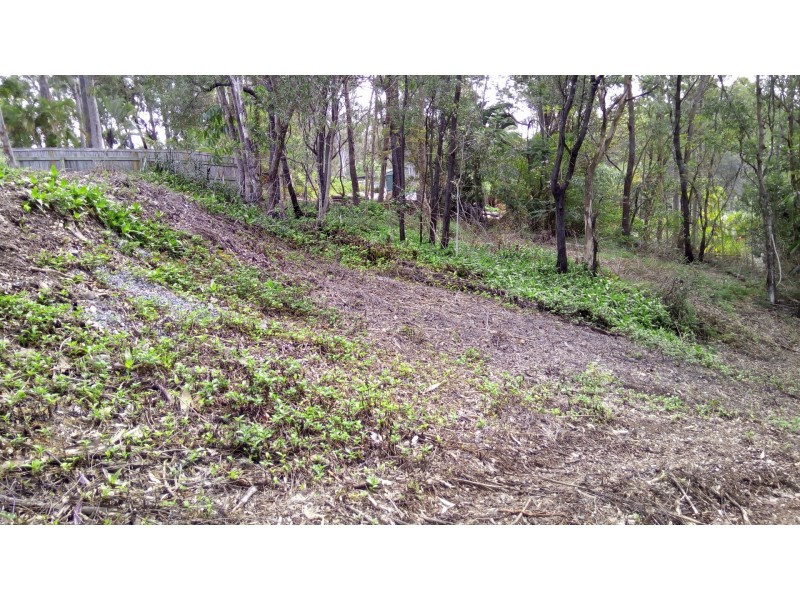 5 Smiggin Street, Worongary QLD 4213