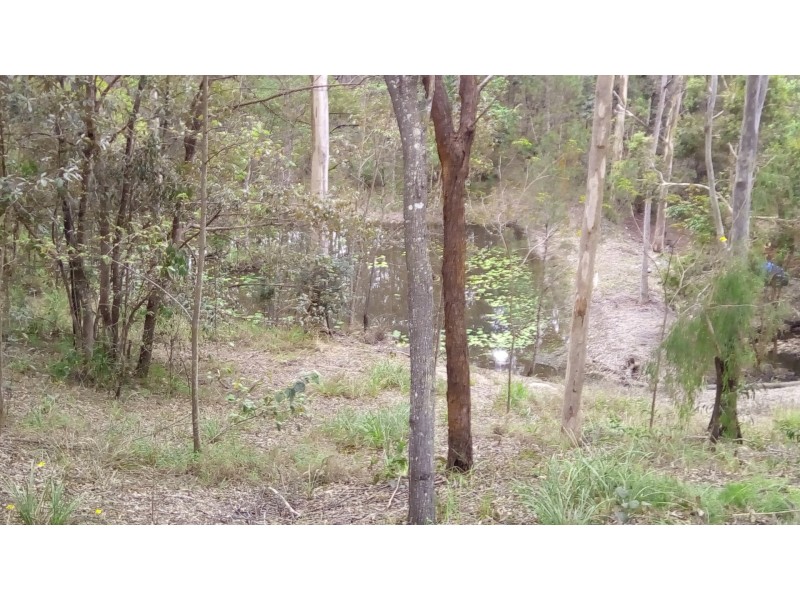 5 Smiggin Street, Worongary QLD 4213