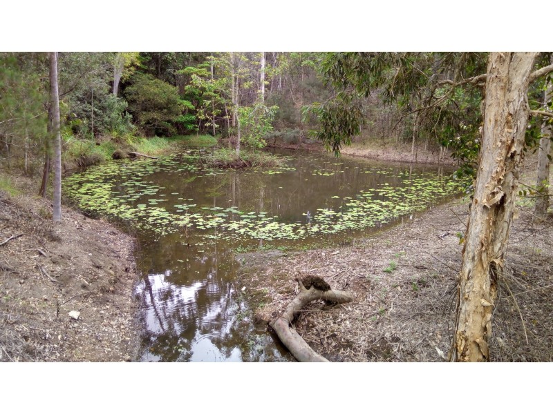 5 Smiggin Street, Worongary QLD 4213