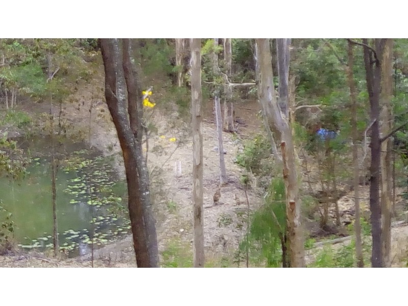 5 Smiggin Street, Worongary QLD 4213