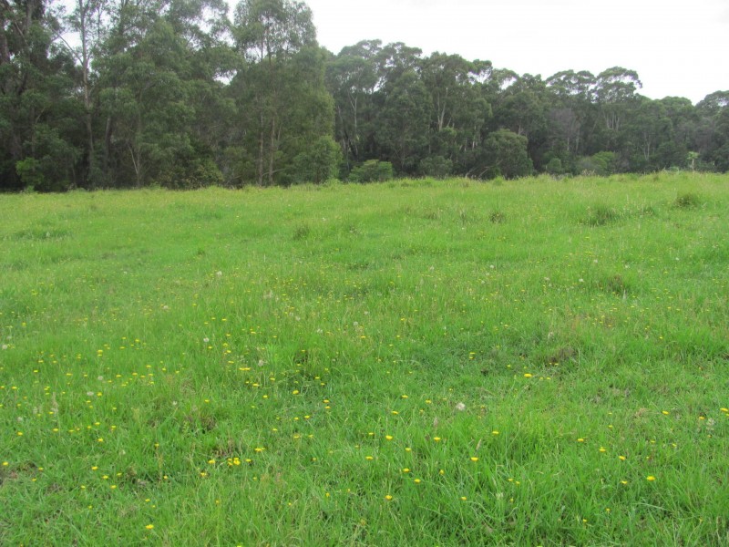 Lot 2, 375 Wamban Road, Moruya NSW 2537