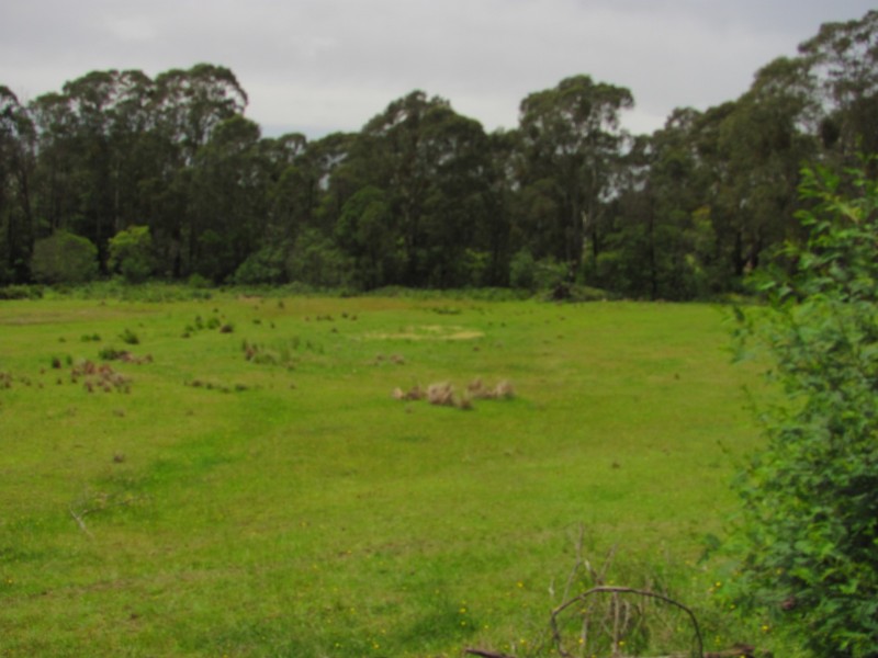 Lot 2, 375 Wamban Road, Moruya NSW 2537