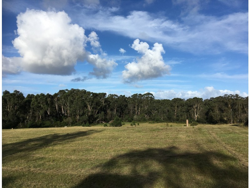 Lot 2, 375 Wamban Road, Moruya NSW 2537