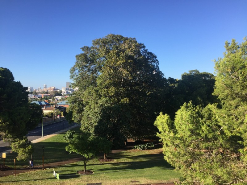 35/537 William Street, Mount Lawley WA 6050