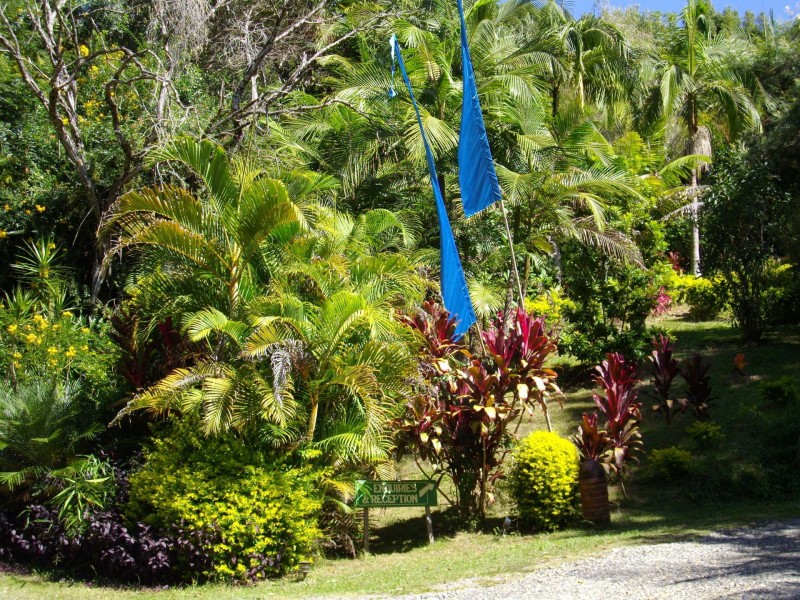 12 Dudley Street, Bellingen NSW 2454