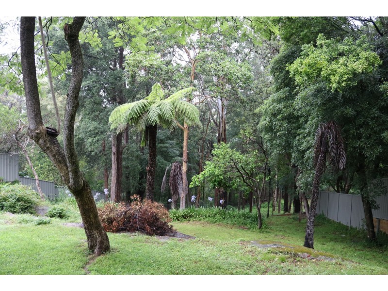 11 Wigram Road, Faulconbridge NSW 2776