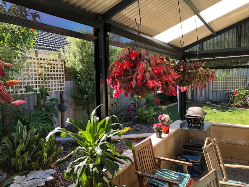 20 Anthony Road, Geographe WA 6280