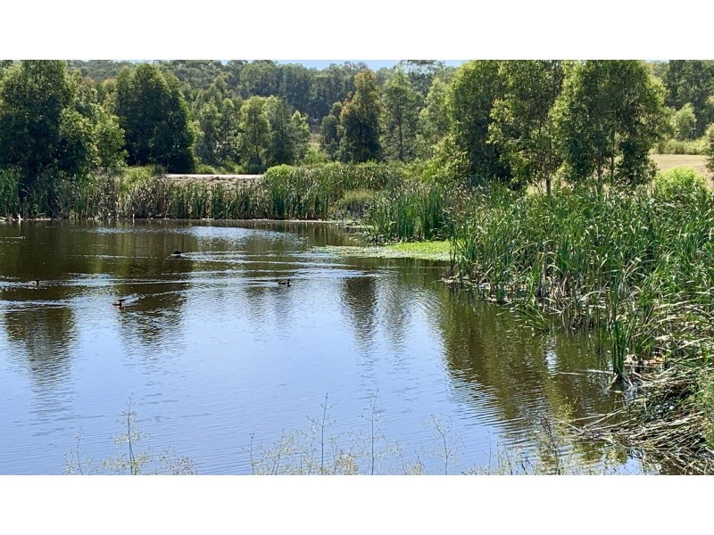 22 Harvest Boulevard, Chisholm NSW 2322