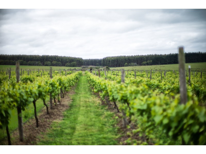 144 Mt Eccles Road, Macarthur VIC 3286