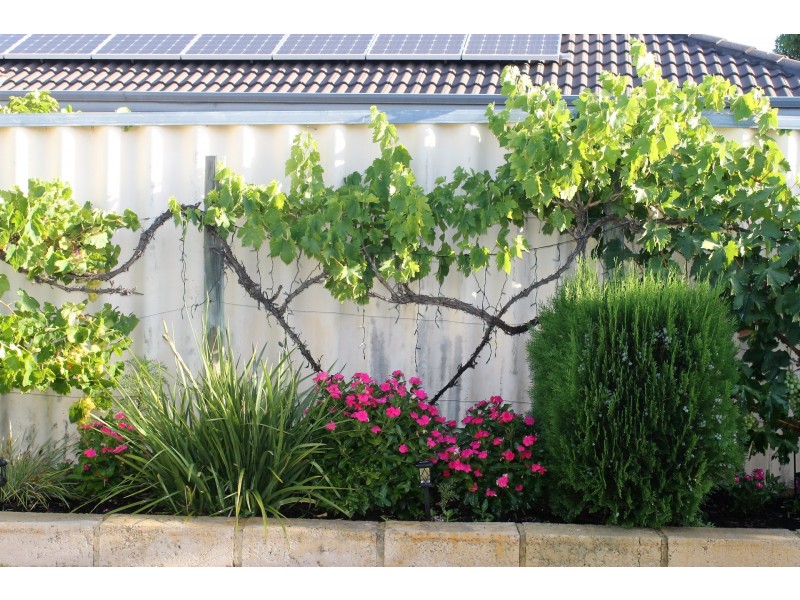 28 Narrier Close, South Guildford WA 6055