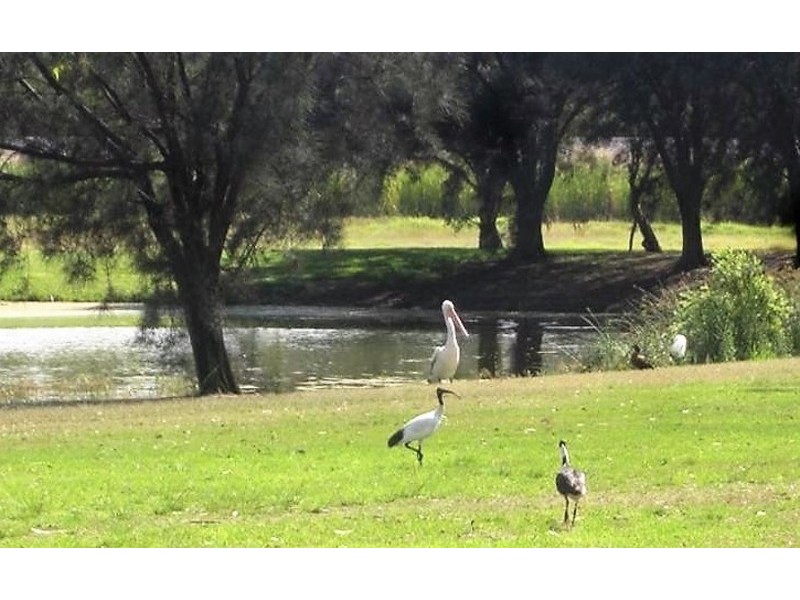 28 Narrier Close, South Guildford WA 6055