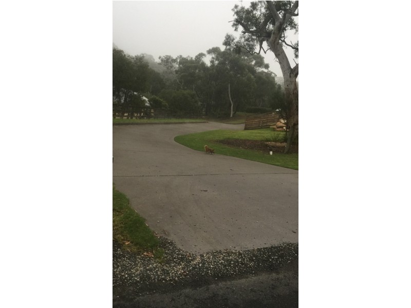 3 C Gregg Street, Hazelbrook NSW 2779