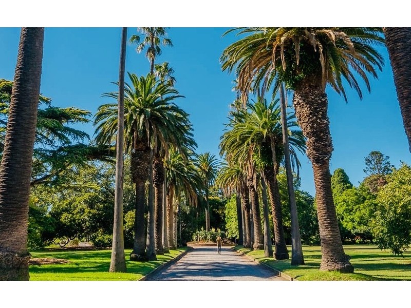 1/76 Carlisle Street, St Kilda VIC 3182