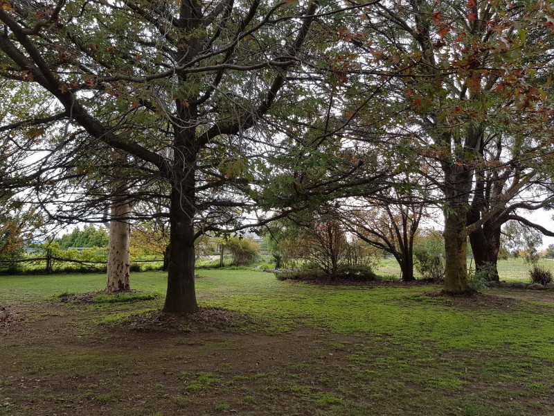 18 Adrians Lane, Spring Hill NSW 2800