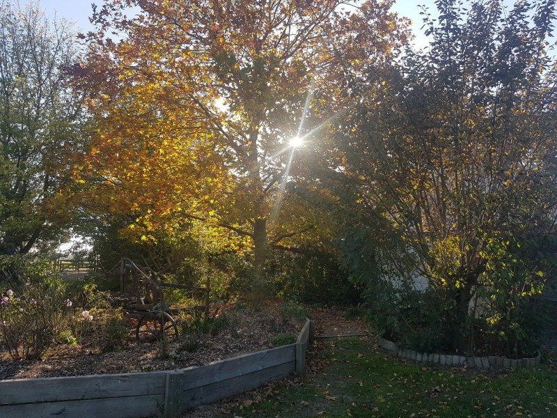 18 Adrians Lane, Spring Hill NSW 2800