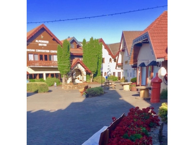 18/22 Waldhorn Drive, Grindelwald TAS 7277
