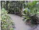 149 Kirra Road, Maroochy River QLD 4561
