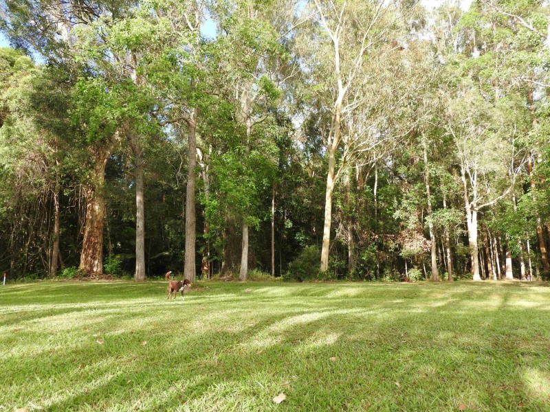 149 Kirra Road, Maroochy River QLD 4561