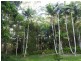 149 Kirra Road, Maroochy River QLD 4561