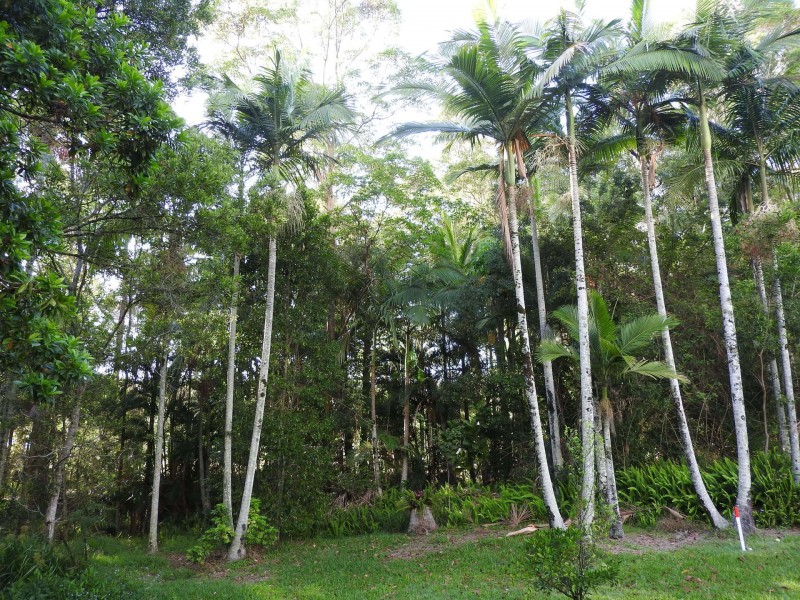 149 Kirra Road, Maroochy River QLD 4561