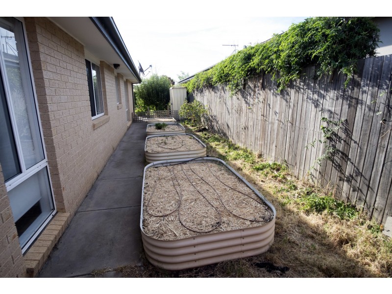 7 Haven Street, Harrison ACT 2914