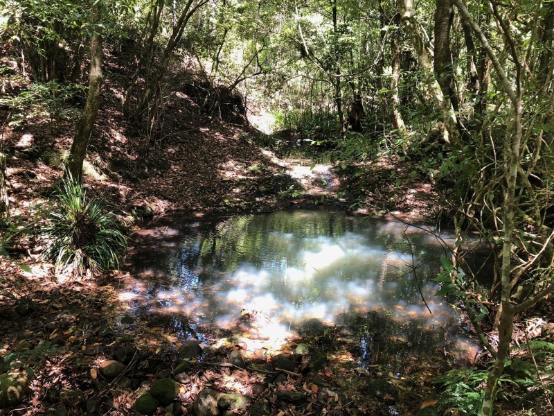 Lot 3 Berrico Road, Wards River NSW 2422