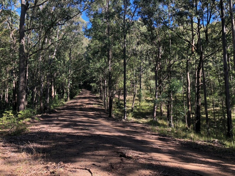 Lot 3 Berrico Road, Wards River NSW 2422