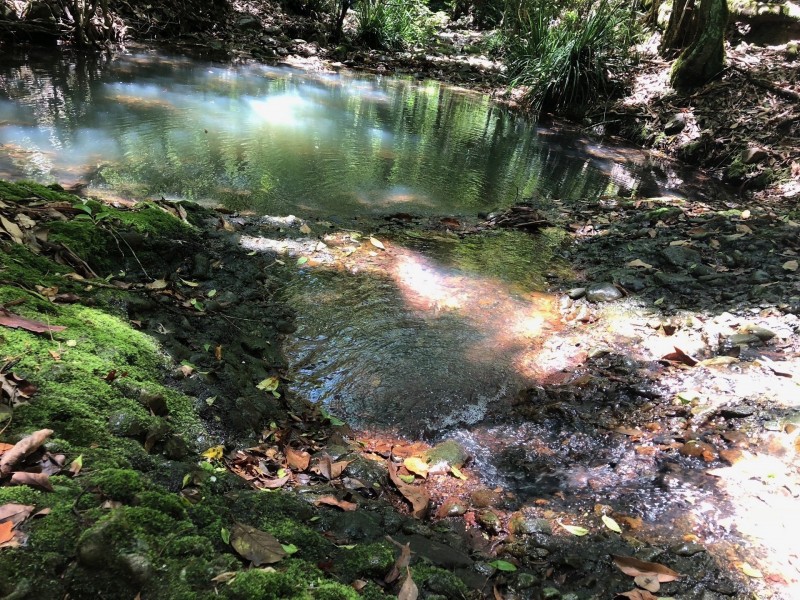 Lot 3 Berrico Road, Wards River NSW 2422