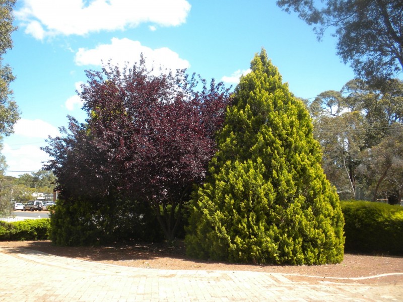 26 Chidlow Street, Mount Helena WA 6082