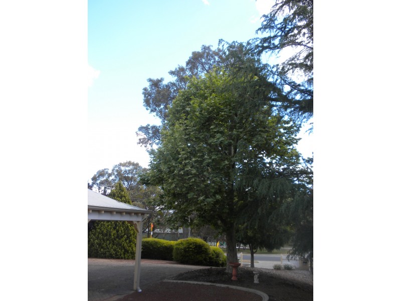 26 Chidlow Street, Mount Helena WA 6082