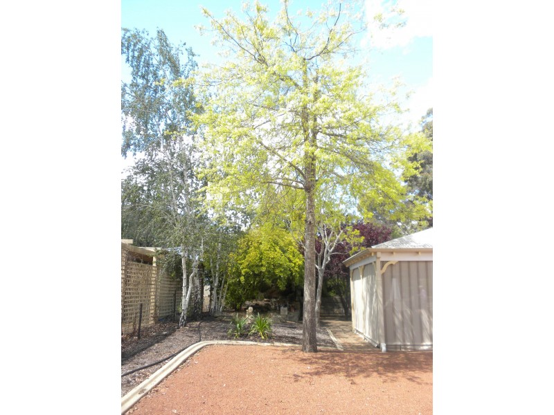 26 Chidlow Street, Mount Helena WA 6082