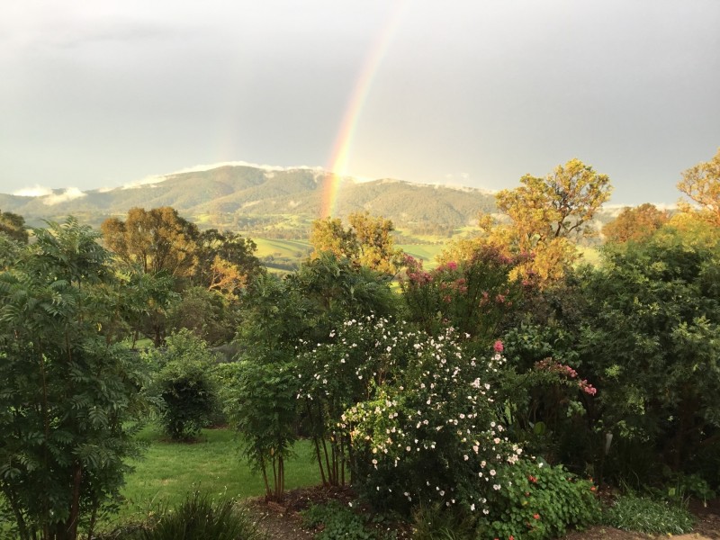 300 Upper Cobargo Road, Stony Creek NSW 2550