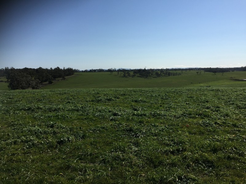 Lot 1 Araluen Road, Yarragon VIC 3823