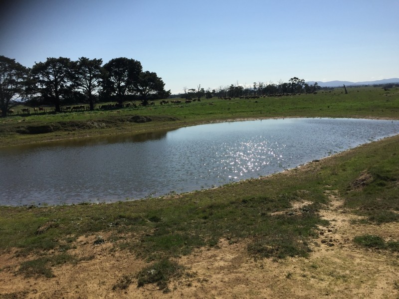 Lot 1 Araluen Road, Yarragon VIC 3823