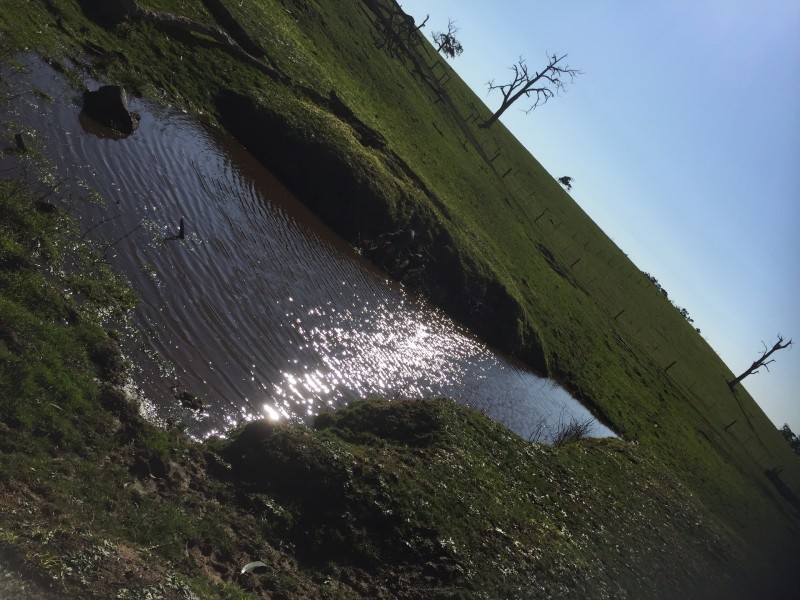 Lot 1 Araluen Road, Yarragon VIC 3823