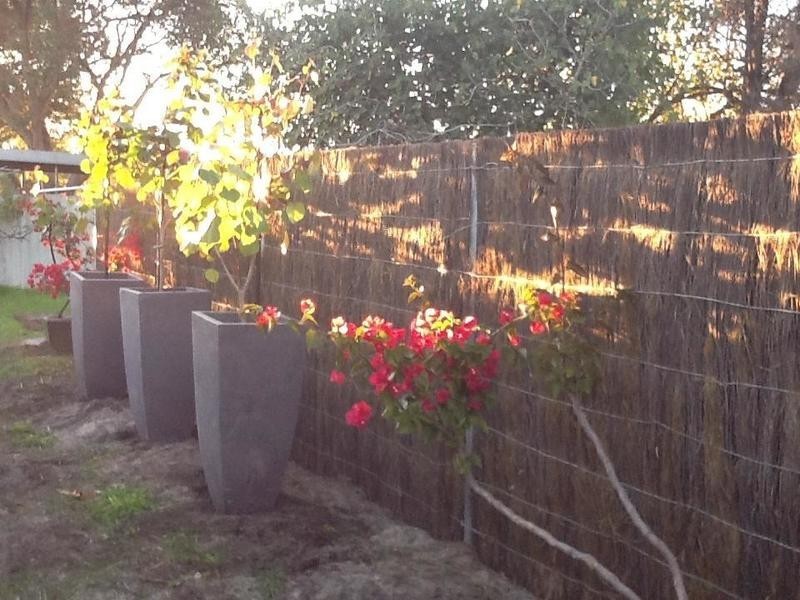 40 Drynan Street, Bayswater WA 6053