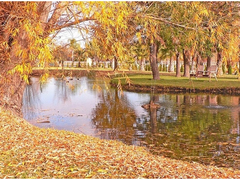 239 Gladstone Street, Mudgee NSW 2850