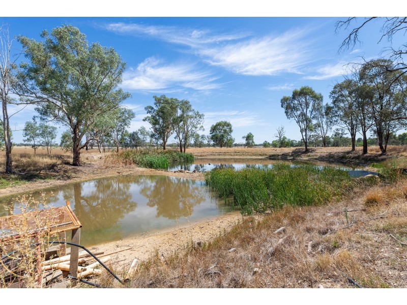 42 Bungowannah Road, Jindera NSW 2642