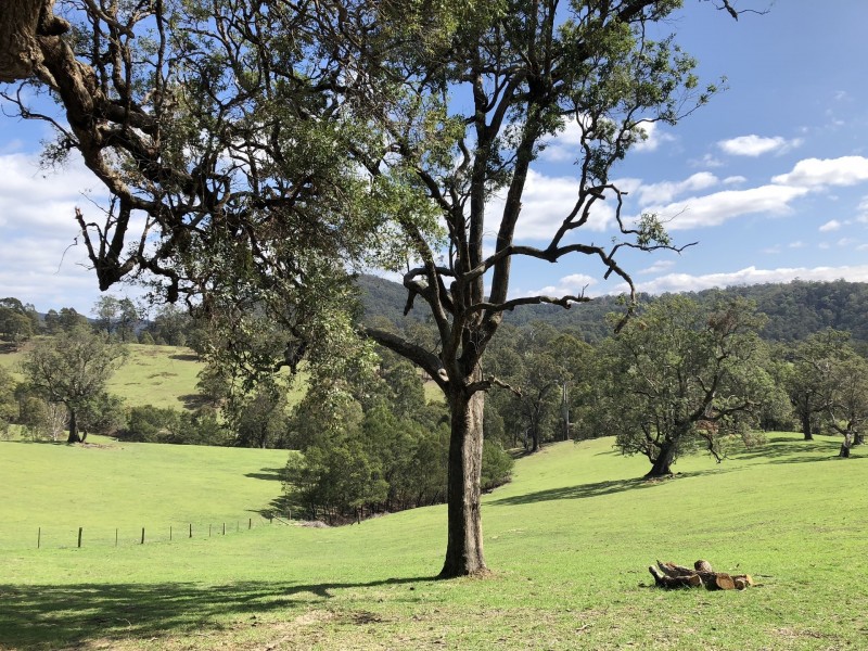 90 Ramble Lane, Brogo NSW 2550