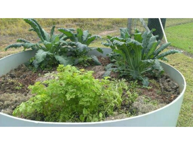 240 Butchers Road, South Isis QLD 4660