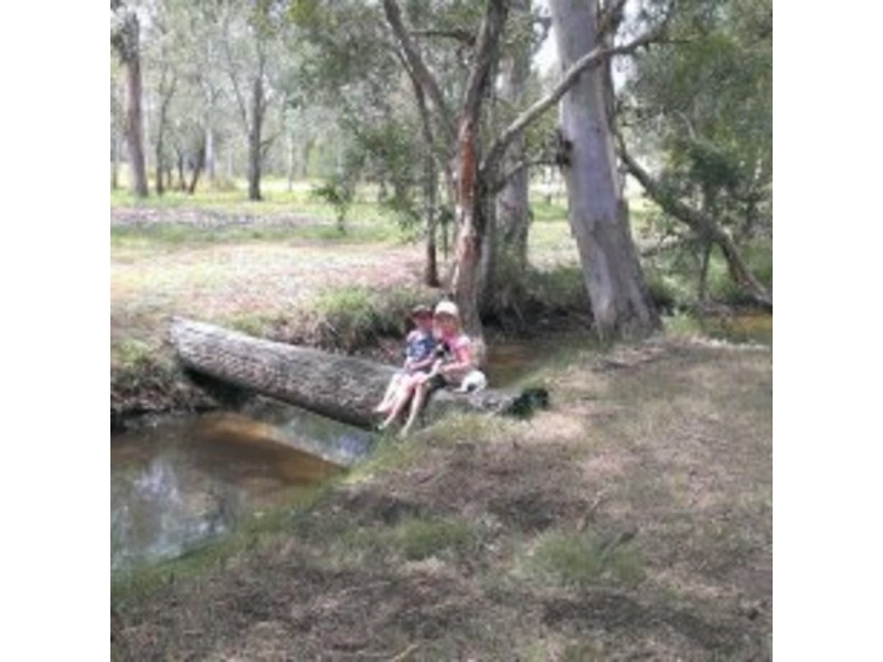 240 Butchers Road, South Isis QLD 4660