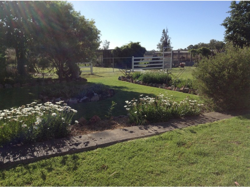 237 Mosquito Creek Road, Warialda NSW 2402