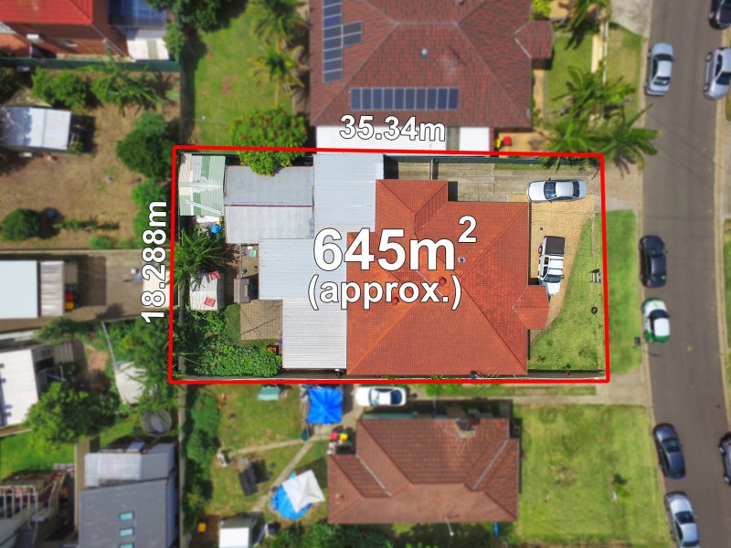6 Freeman Avenue, Canley Vale NSW 2166