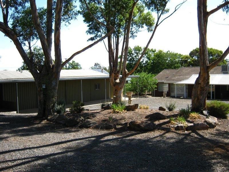 81 Mildred Street, Kapunda SA 5373