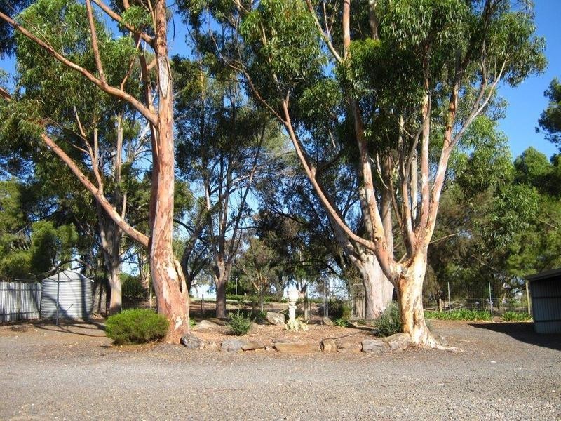 81 Mildred Street, Kapunda SA 5373